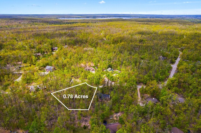 LOT369 Forest Park Trl, Gaylord, MI 49735 - photo 4