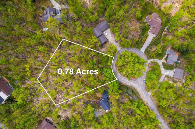 LOT369 Forest Park Trl, Gaylord, MI 49735 - photo 5