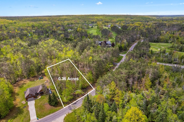 LOT1324 Opal Lake Rd, Gaylord, MI 49735 - photo 1