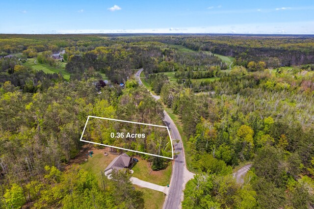 LOT1324 Opal Lake Rd, Gaylord, MI 49735 - photo 3