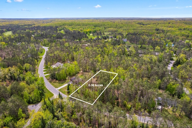 LOT1324 Opal Lake Rd, Gaylord, MI 49735 - photo 4