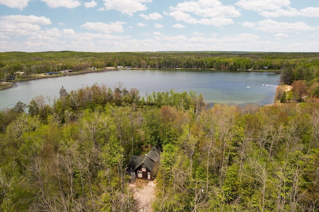 6192 Wilderness Dr, Mancelona, MI 49659 - water view with a forest