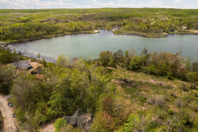 6192 Wilderness Dr, Mancelona, MI 49659 - aerial view of a forest and a large body of water