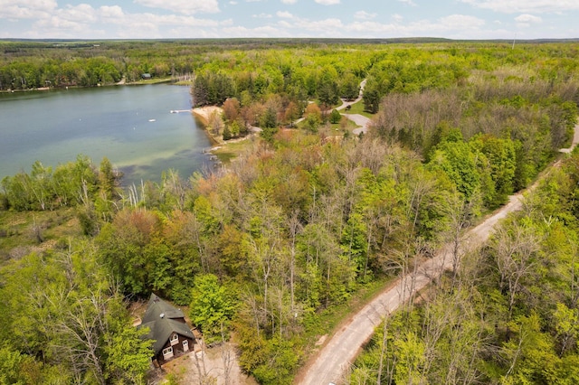 6192 Wilderness Dr, Mancelona, MI 49659 - bird's eye view of a forest and a nearby body of water