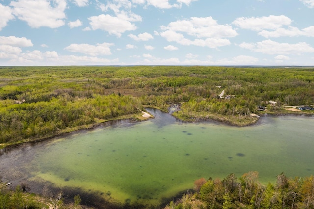 6192 Wilderness Dr, Mancelona, MI 49659 - aerial view of a heavily wooded area and a large body of water