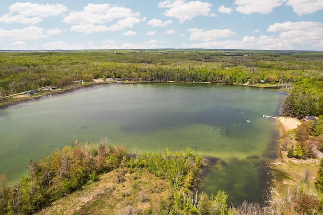 6192 Wilderness Dr, Mancelona, MI 49659 - water view with a forest