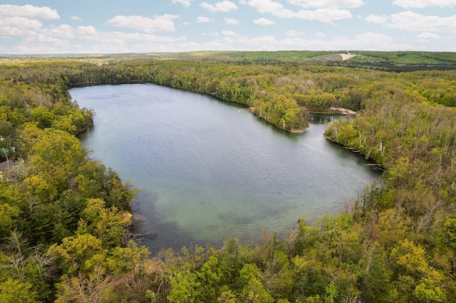 6192 Wilderness Dr, Mancelona, MI 49659 - bird's eye view of a forest and a nearby body of water