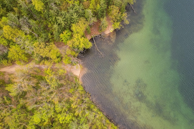 6192 Wilderness Dr, Mancelona, MI 49659 - aerial view