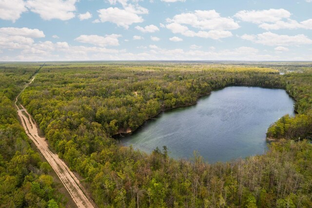 6192 Wilderness Dr, Mancelona, MI 49659 - drone / aerial view of a forest and a nearby body of water