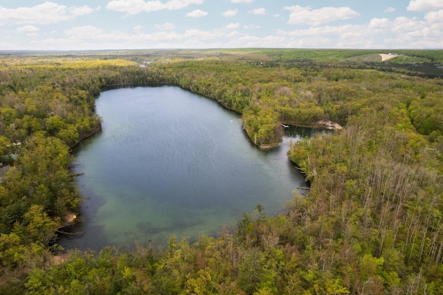 6192 Wilderness Dr, Mancelona, MI 49659 - drone / aerial view of a forest and a nearby body of water