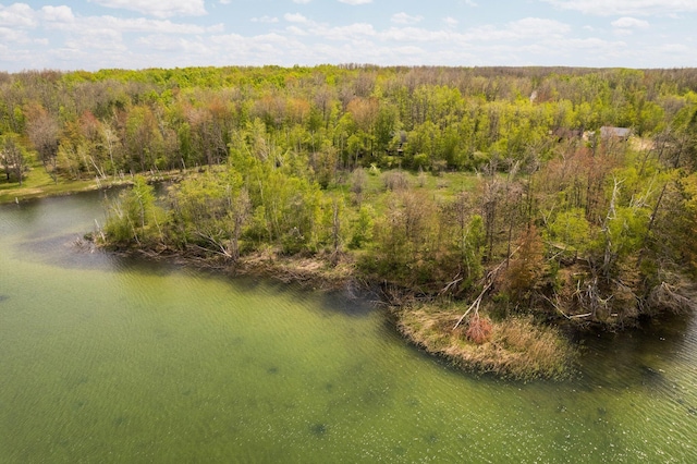 6192 Wilderness Dr, Mancelona, MI 49659 - drone / aerial view of a forest