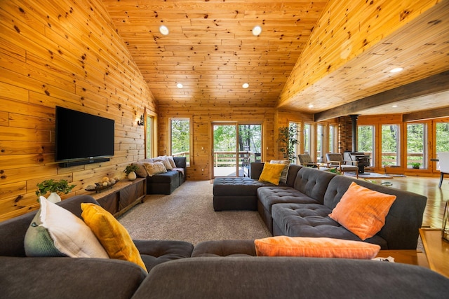 6192 Wilderness Dr, Mancelona, MI 49659 - living room featuring a wood stove, recessed lighting, wooden walls, carpet, and wood ceiling