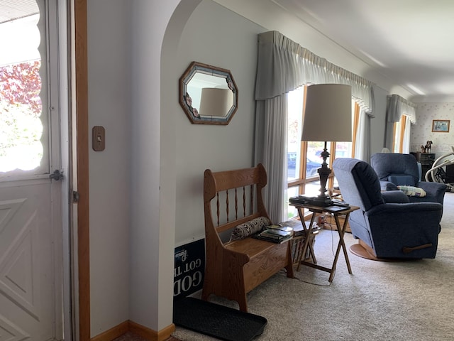 2290 Woodview Dr, Alpena, MI 49707 - photo 5