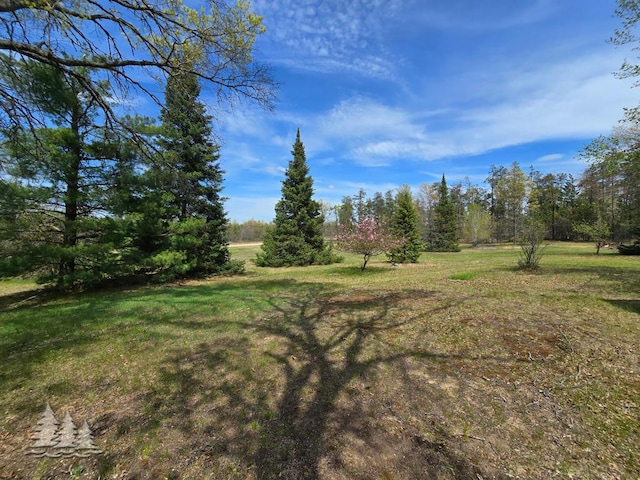 3557 Penn Rd, Lewiston, MI 49756 - view of grassy yard
