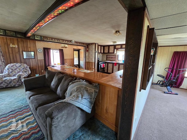 3557 Penn Rd, Lewiston, MI 49756 - living area with carpet floors and wooden walls