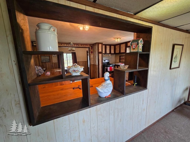 3557 Penn Rd, Lewiston, MI 49756 - kitchen featuring stainless steel stove, wooden walls, carpet flooring, baseboards, and open shelves