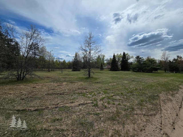 3557 Penn Rd, Lewiston, MI 49756 - view of green lawn