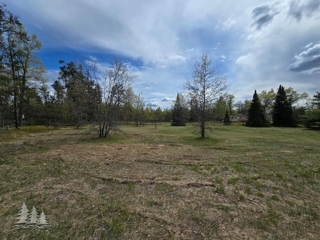 3557 Penn Rd, Lewiston, MI 49756 - view of grassy yard