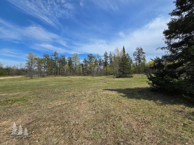 3557 Penn Rd, Lewiston, MI 49756 - view of green lawn