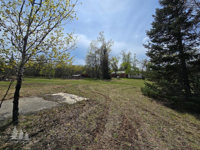 3557 Penn Rd, Lewiston, MI 49756 - view of yard