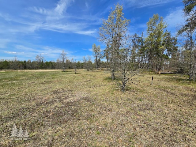 3557 Penn Rd, Lewiston, MI 49756 - view of green lawn