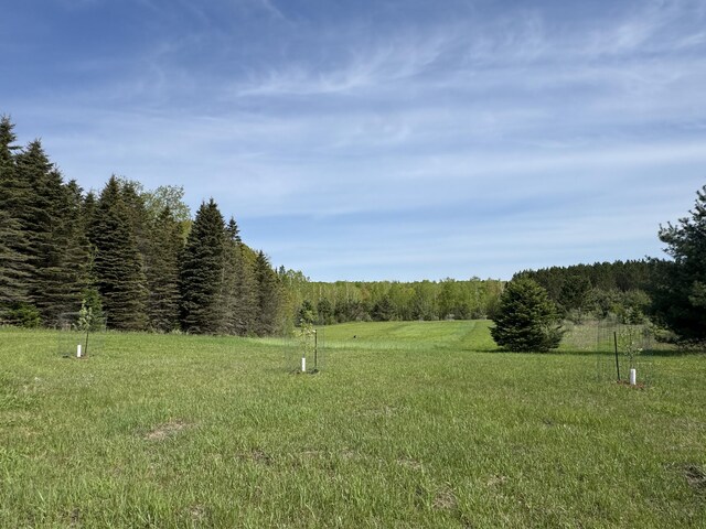 1154 M-72 W, Barton City, MI 48705 - view of yard featuring a view of trees