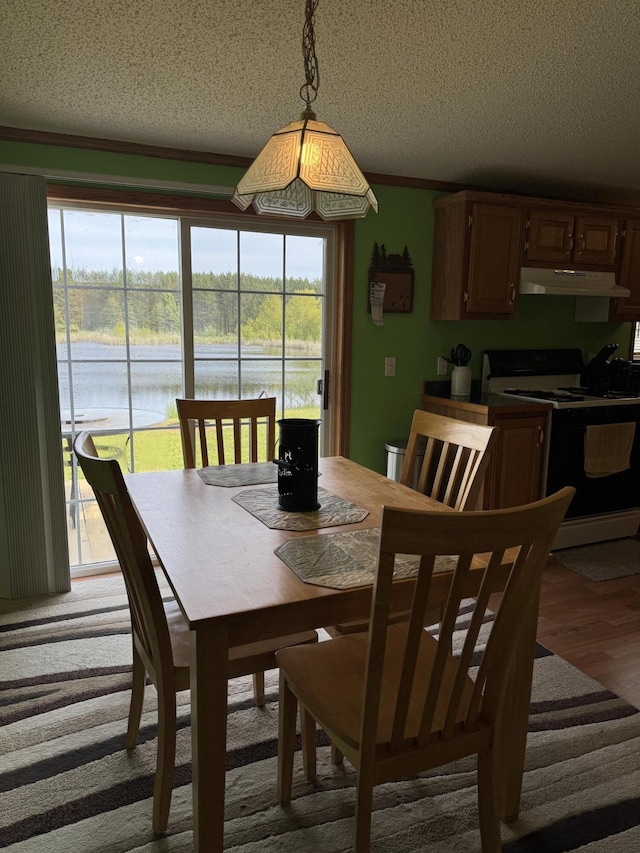 1154 M-72 W, Barton City, MI 48705 - dining area featuring a textured ceiling, healthy amount of natural light, a water view, and light wood-style flooring