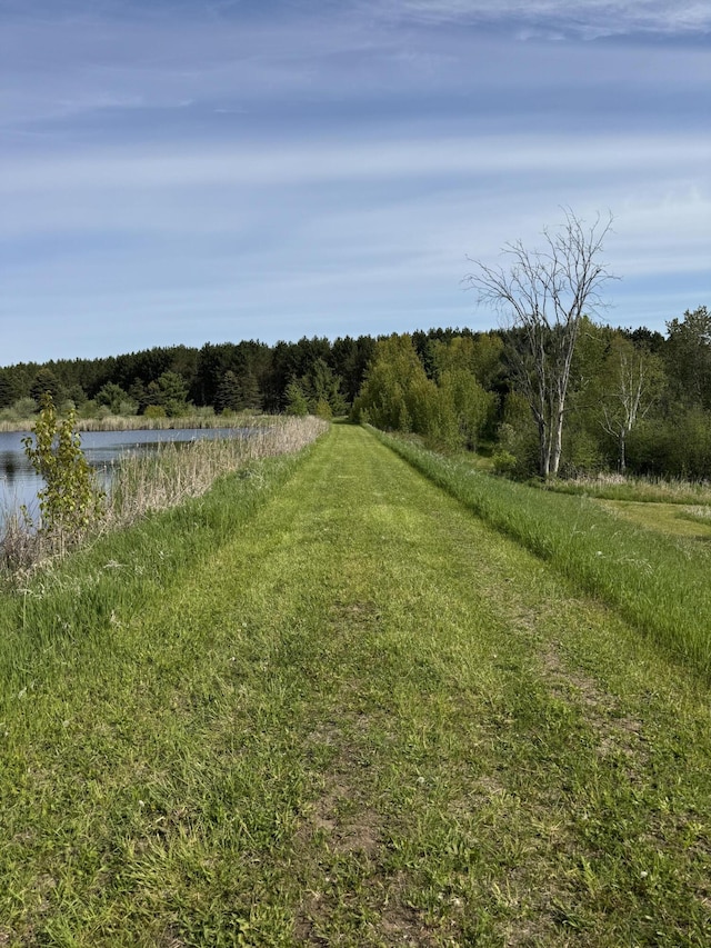 1154 M-72 W, Barton City, MI 48705 - view of yard with a water view and a forest view