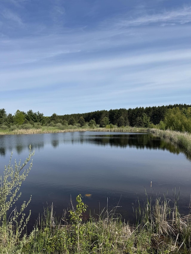 1154 M-72 W, Barton City, MI 48705 - water view featuring a heavily wooded area