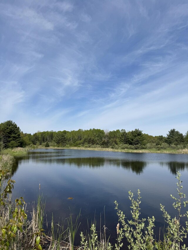 1154 M-72 W, Barton City, MI 48705 - water view featuring a heavily wooded area
