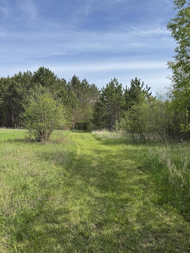 1154 M-72 W, Barton City, MI 48705 - view of yard featuring a view of trees
