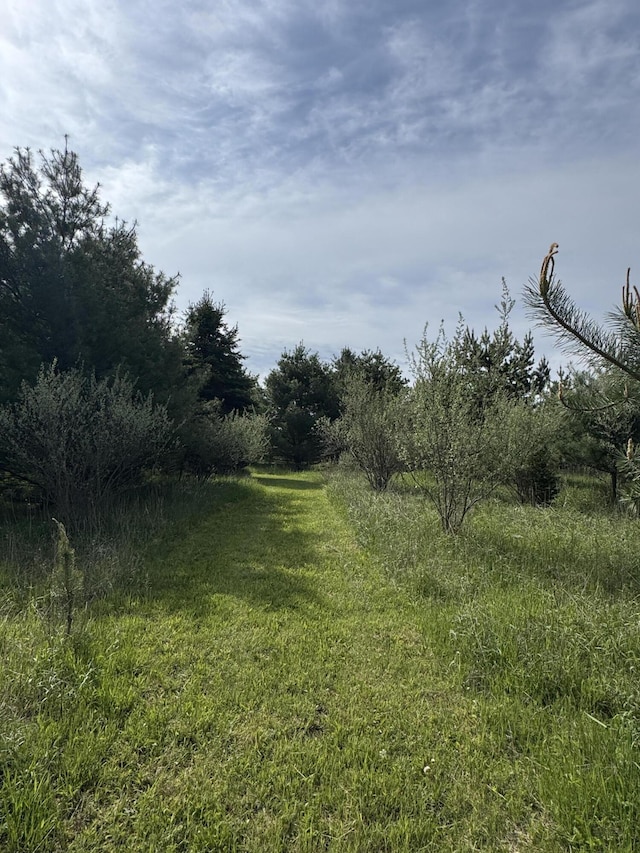1154 M-72 W, Barton City, MI 48705 - view of yard