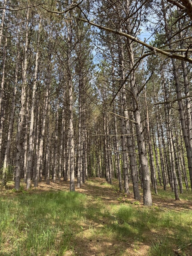 1154 M-72 W, Barton City, MI 48705 - view of woods