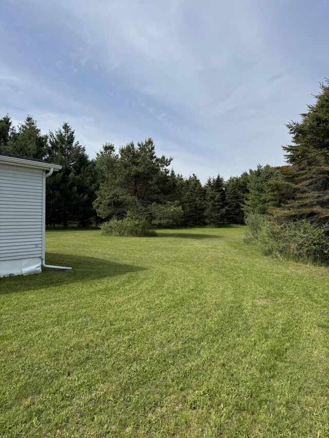 1154 M-72 W, Barton City, MI 48705 - view of green lawn with a forest view
