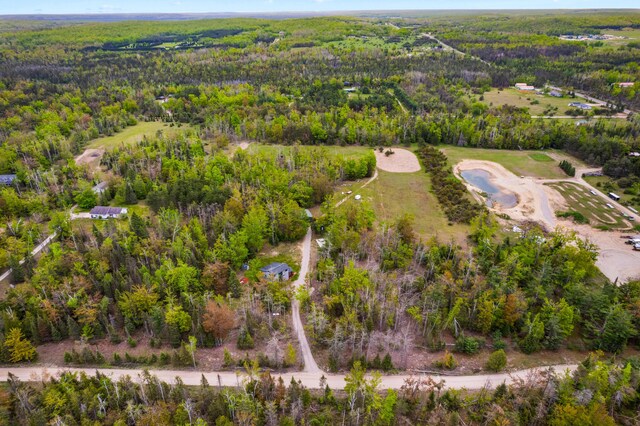 1261 Willick Rd, Gaylord, MI 49735 - photo 40
