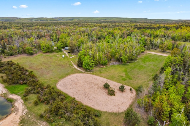 1261 Willick Rd, Gaylord, MI 49735 - photo 41