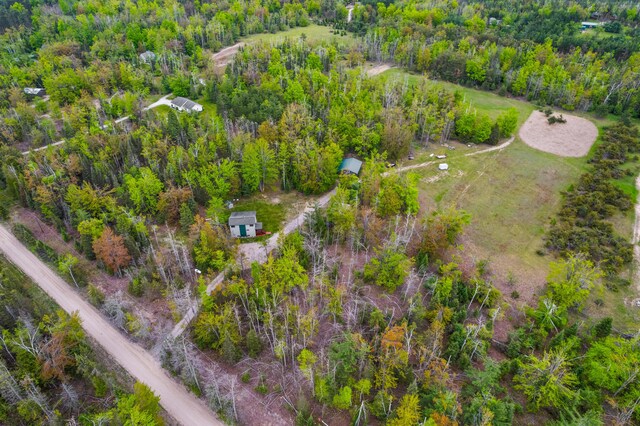 1261 Willick Rd, Gaylord, MI 49735 - photo 43