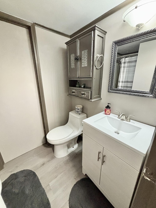 3334 Pleasant View Dr, Lewiston, MI 49756 - full bathroom featuring wood finished floors, vanity, toilet, and curtained shower