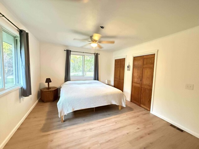 116 1st St, Hubbard Lake, MI 49747 - bedroom featuring light wood-style flooring, multiple closets, baseboards, and a ceiling fan