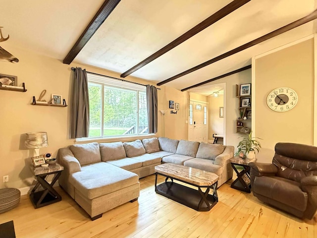 116 1st St, Hubbard Lake, MI 49747 - living room with light wood-type flooring