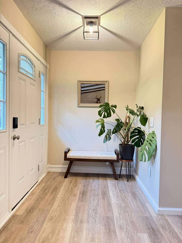 116 1st St, Hubbard Lake, MI 49747 - entrance foyer featuring wood finished floors, a textured ceiling, and baseboards