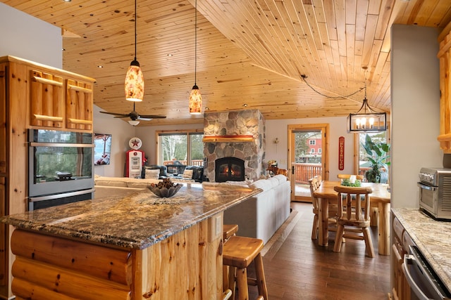 5997 Prospect St, Indian River, MI 49749 - kitchen featuring wood ceiling, stainless steel appliances, open floor plan, dark wood finished floors, and a fireplace