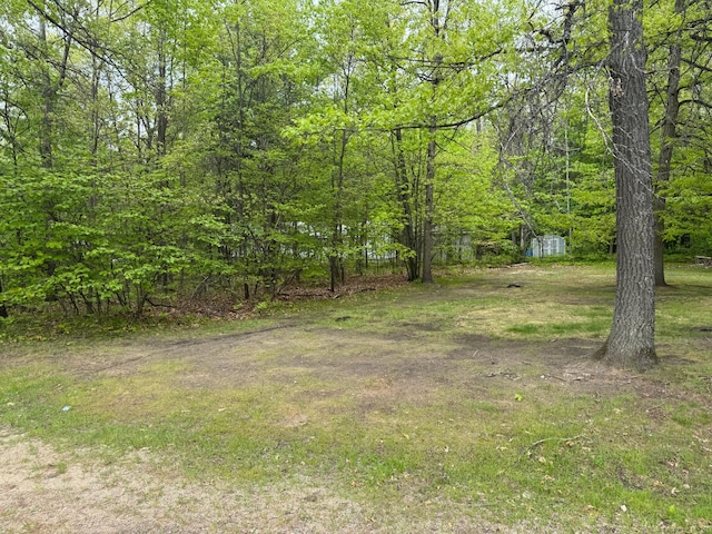 303 Redwine, Houghton Lake, MI 48629 - photo 29