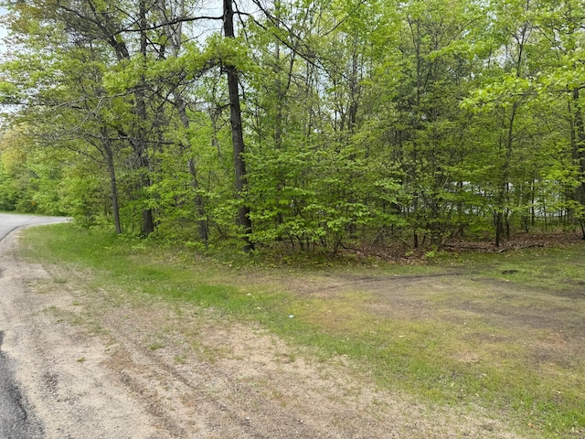 303 Redwine, Houghton Lake, MI 48629 - photo 30