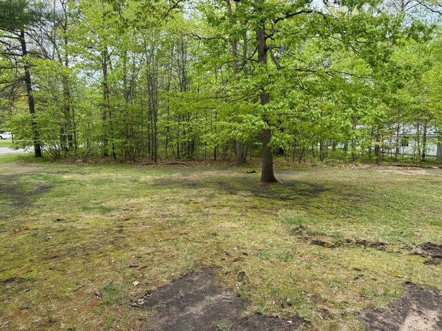 303 Redwine, Houghton Lake, MI 48629 - photo 31