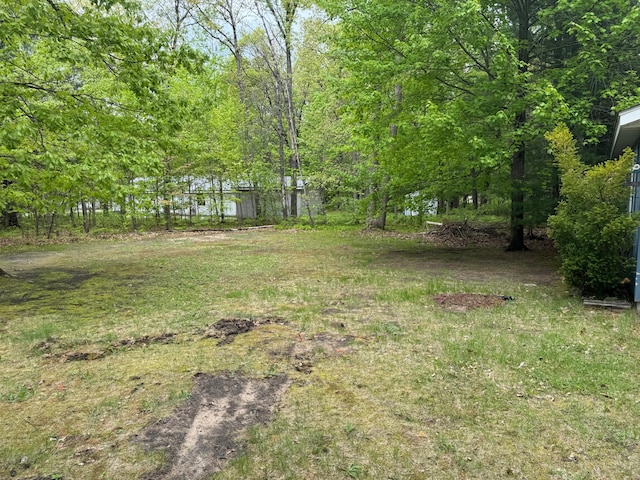 303 Redwine, Houghton Lake, MI 48629 - photo 32