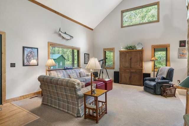 2715 Indian Rd, Brutus, MI 49716 - living area with high vaulted ceiling, light carpet, and healthy amount of natural light
