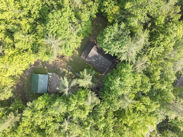 2715 Indian Rd, Brutus, MI 49716 - bird's eye view