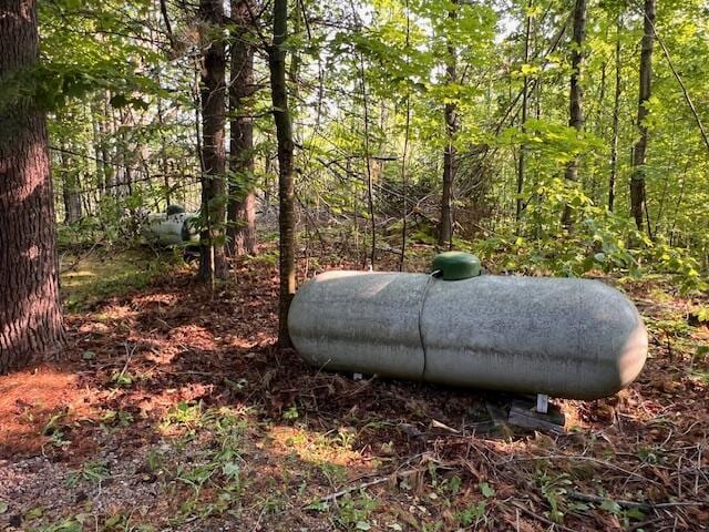 2715 Indian Rd, Brutus, MI 49716 - exterior view of propane tank and a heavily wooded area