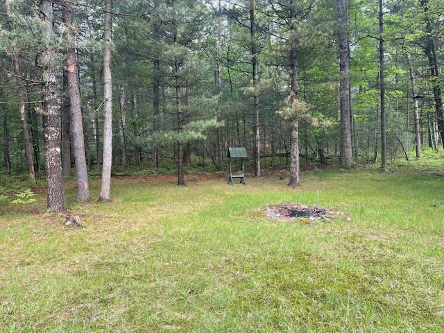 117 Swift Deer Trl, Prudenville, MI 48651 - view of yard with a wooded view